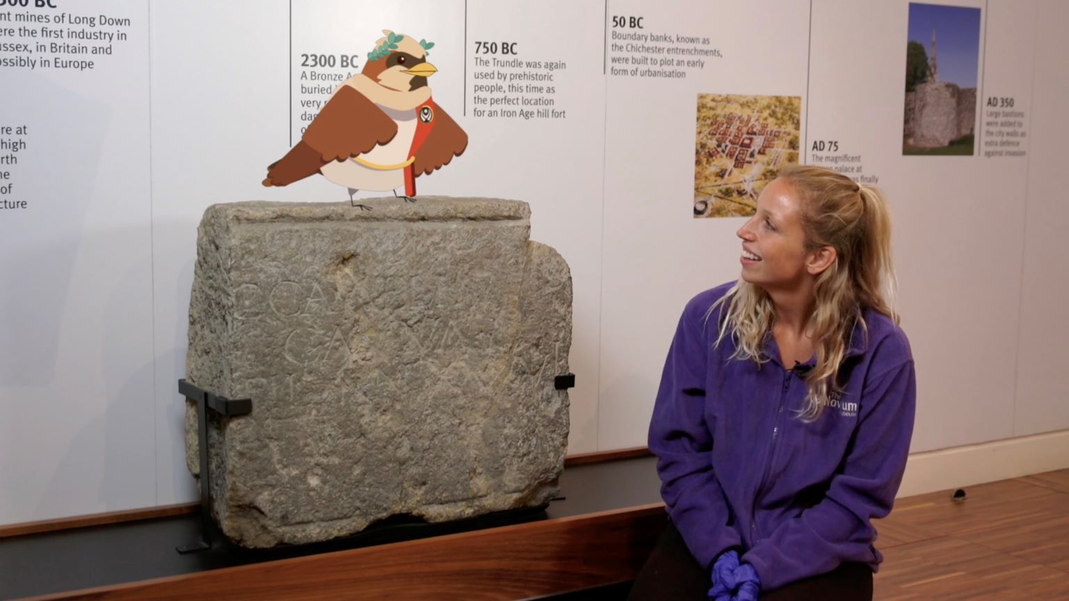 Virtual field trips: 'Novio' with a member of the Novium Museum team.