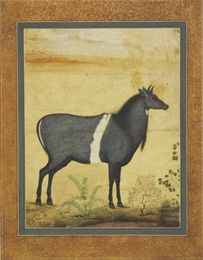 Mogul and Indian paintings