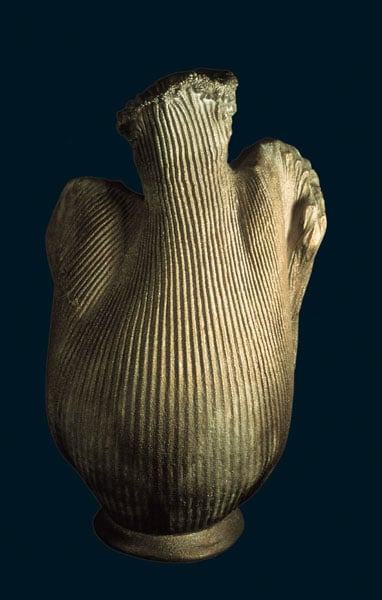 Pleated vessel form