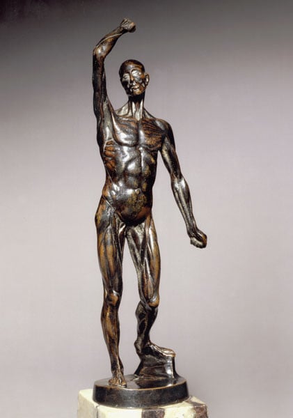 William Hunter's anatomical figure