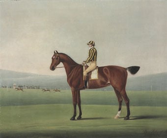 Mr Walsh's Perdita, with jockey up, on Nantwich Racecourse