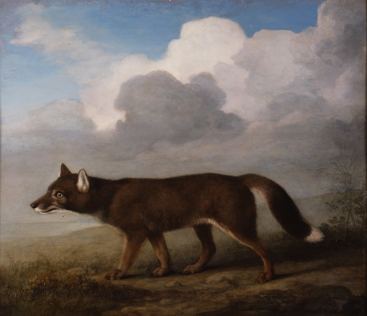 i) The Kongouro from New Holland; ii) Portrait of a Large Dog